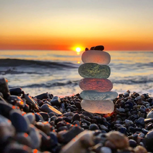 国产女处被破www免费软件
